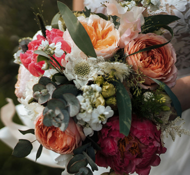FIGAND ROSES2